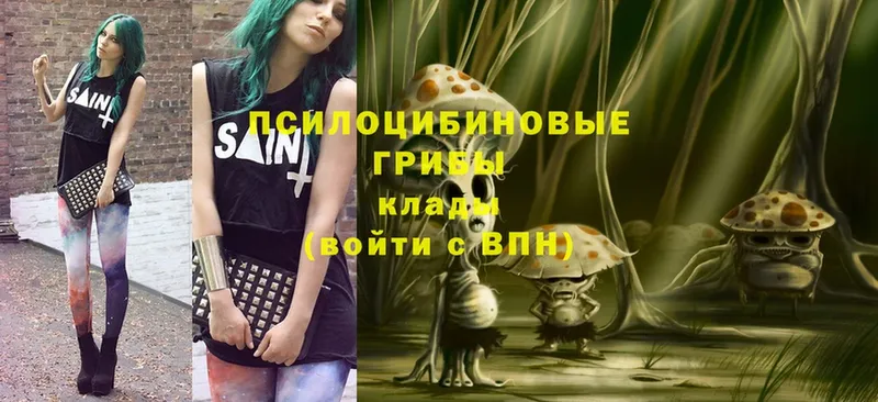 Псилоцибиновые грибы Magic Shrooms  кракен рабочий сайт  Волгодонск 